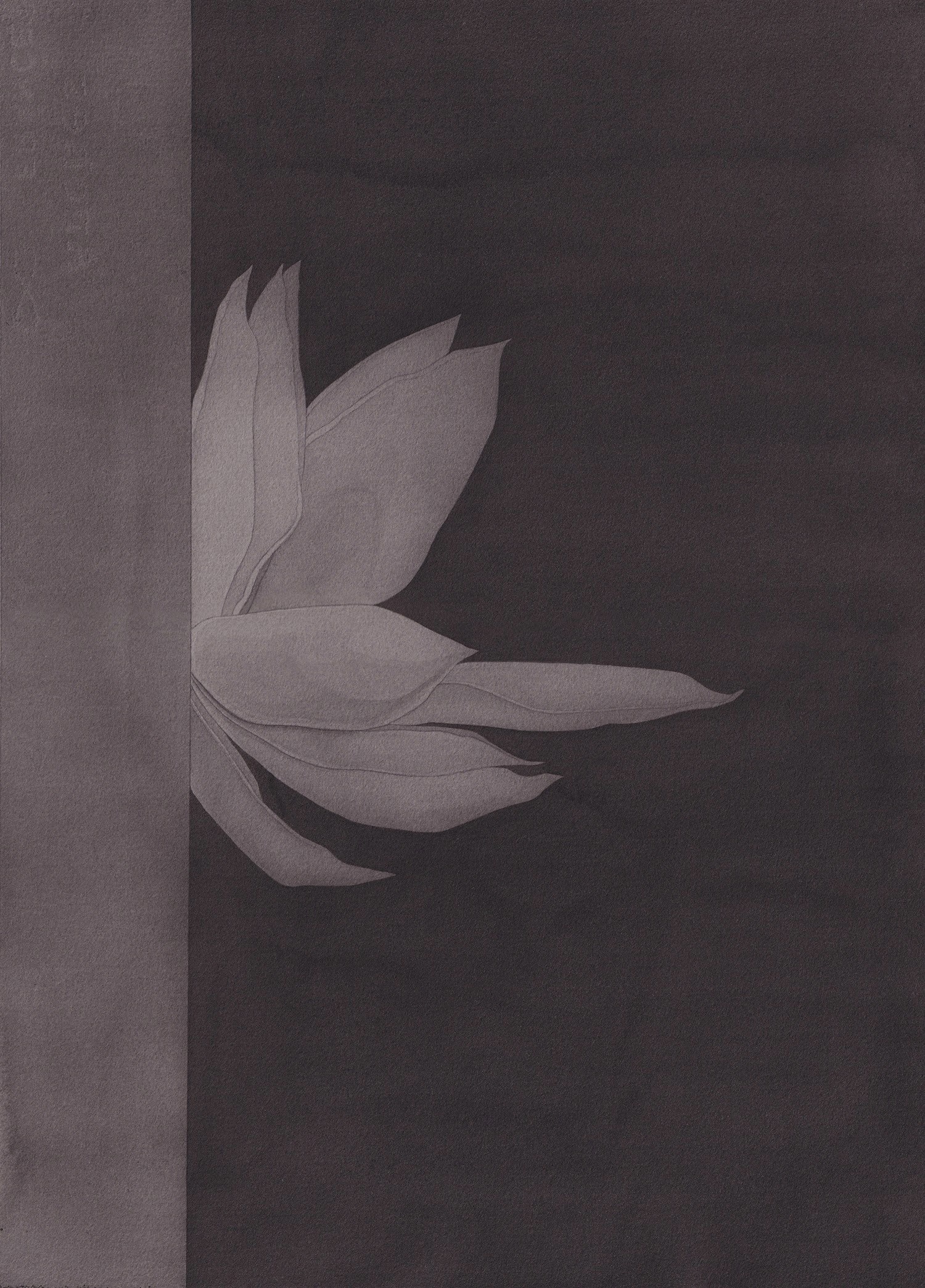 Kristīne Upīte / Kristine Upite – Paper Flower Grey · watercolor, graphite on paper · 2026